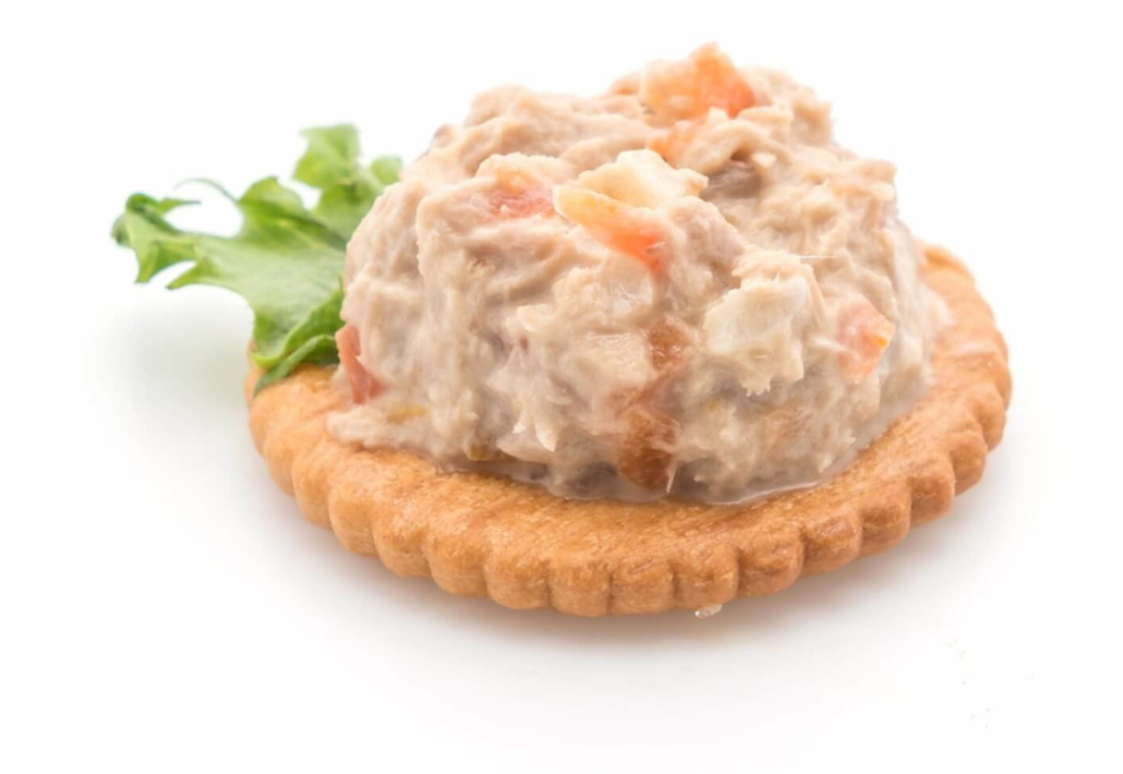 Tuna-salad-cracker@2x-1